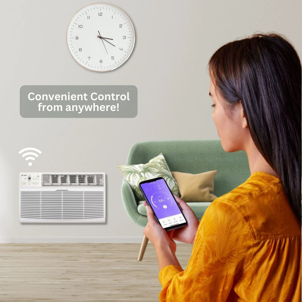 Olmo 12,000 BTU Smart Window / TTW Through-Wall AC ¨C Cool Only 115V